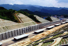 西成客專(zhuān)